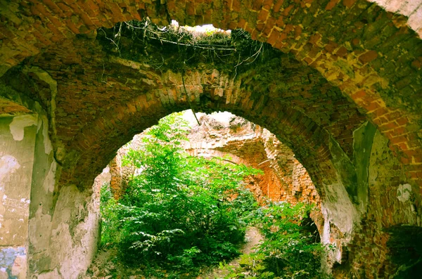 Vista Ruinas Edificios Antiguos Con Arbustos —  Fotos de Stock