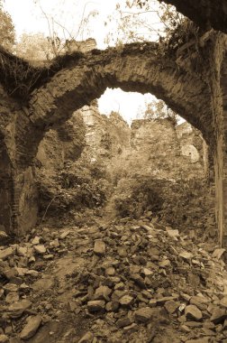 Çalılarla eski harabelerin manzarası