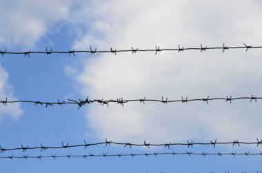 Dikenli tel, grunge dijital duvar kağıdı