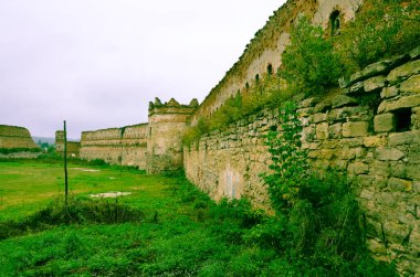 Çalılarla eski harabelerin manzarası