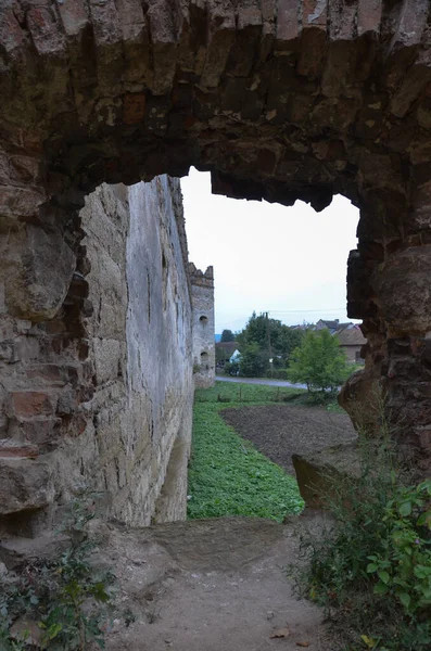 Vista Vecchie Rovine Edifici Con Cespugli — Foto Stock