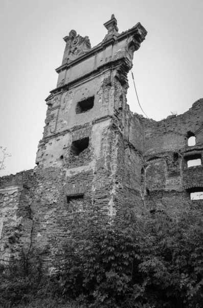 Uitzicht Oude Gebouw Ruïnes Met Struiken — Stockfoto