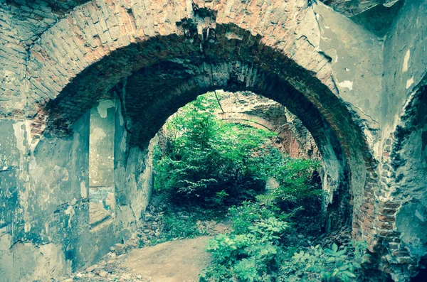 Vista Ruinas Edificios Antiguos Con Arbustos —  Fotos de Stock