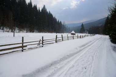 Karlı dağlar ve ağaçların kış manzarası 