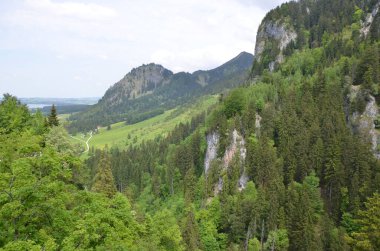 Ağaçlı, dağlık manzaralı bir manzara.