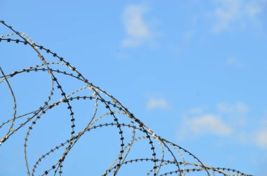 Dikenli tel, grunge dijital duvar kağıdı