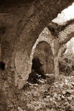 Çalılarla eski harabelerin manzarası