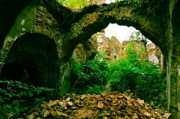 Vista Ruinas Edificios Antiguos Con Arbustos —  Fotos de Stock