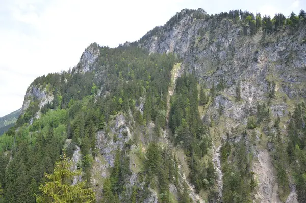 Panoramisch Uitzicht Bergachtig Landschap Met Bomen — Stockfoto