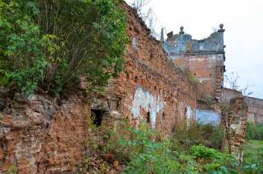 Çalılarla eski harabelerin manzarası