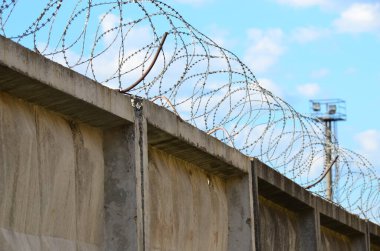 Dikenli tel, grunge dijital duvar kağıdı