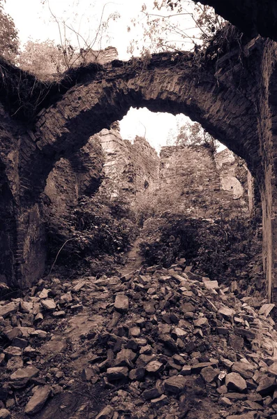 Vue Des Ruines Vieux Bâtiments Avec Des Buissons — Photo