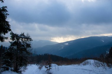 Karlı dağlar ve ağaçların kış manzarası 