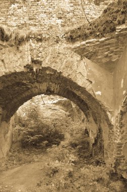 Çalılarla eski harabelerin manzarası