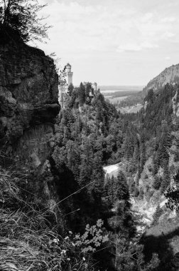 Ağaçlı, dağlık manzaralı bir manzara.