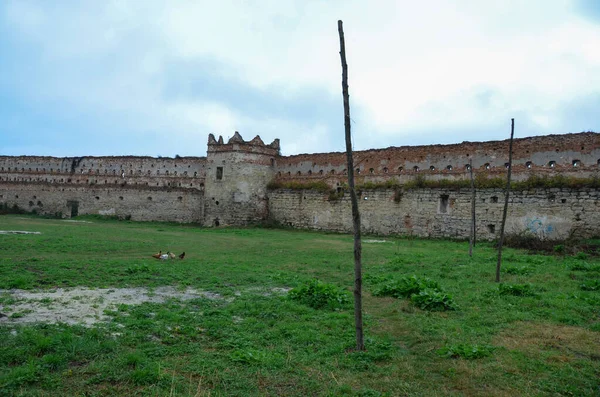 Vue Des Ruines Vieux Bâtiments Avec Des Buissons — Photo