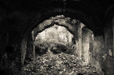 Çalılarla eski harabelerin manzarası