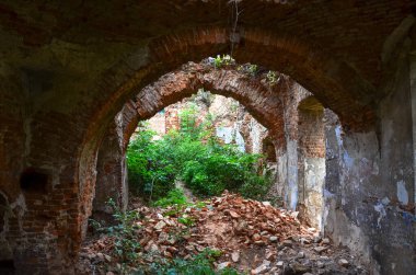 Çalılarla eski harabelerin manzarası