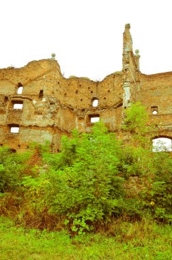 Çalılarla eski harabelerin manzarası