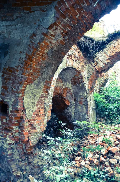 Widok Ruin Starego Budynku Krzewami — Zdjęcie stockowe