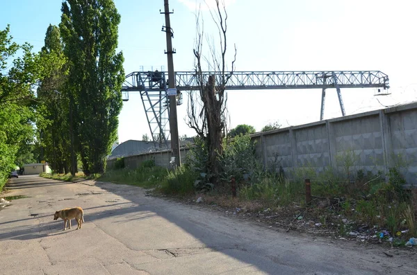 旧铁路 城市交通 — 图库照片