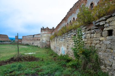 Çalılarla eski harabelerin manzarası