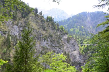 Ağaçlı, dağlık manzaralı bir manzara.