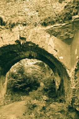 Çalılarla eski harabelerin manzarası