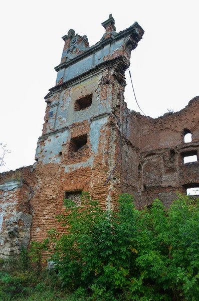Uitzicht Oude Gebouw Ruïnes Met Struiken — Stockfoto