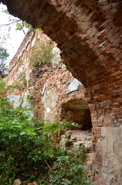 Vista Vecchie Rovine Edifici Con Cespugli — Foto Stock