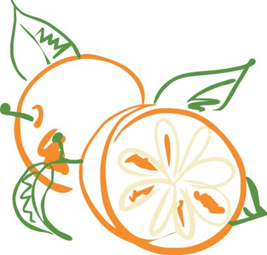 turuncu ve yarım çizgi, vektör illüstrasyonu