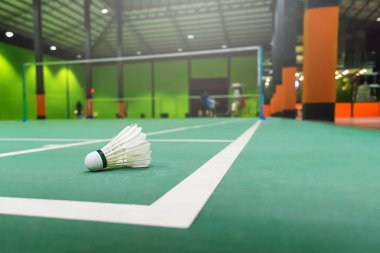 badminton kortları ve ön planda küçük horozlar.