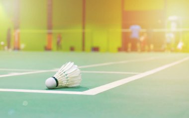 badminton kortları ve ön planda küçük horozlar.