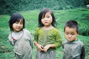 Sapa / Vietnam - 5 Ağustos 2010: şirin hmong kabile üyesi çocuklar onların aile çiftliği alanının yanındaki