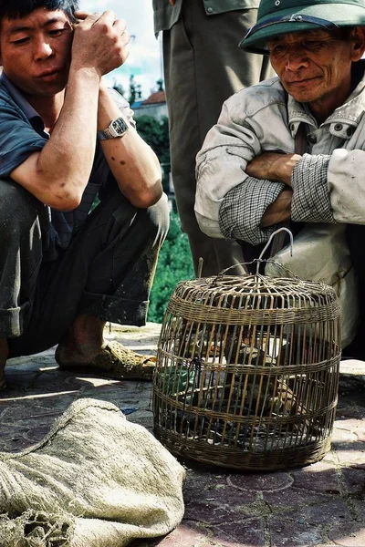 Sapa Baha Wietnam Sie 2010 Mężczyzna Dokonujące Kontroli Ptaków Rynku — Zdjęcie stockowe