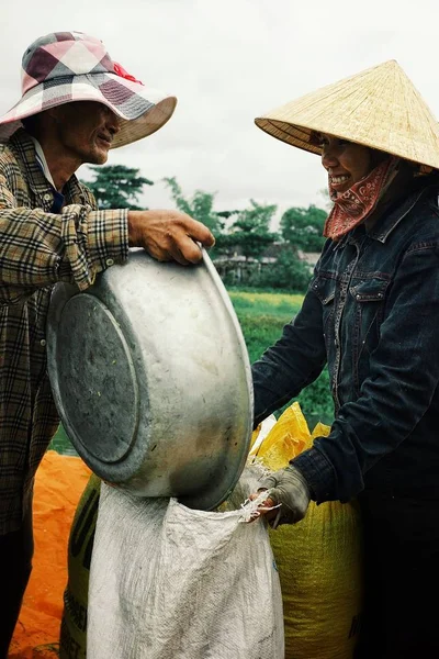 Renk tonu / Vietnam - 5 Ağustos 2010: genç kadın ve adam hasat ve dökme pirinç bir plastik torba tohum