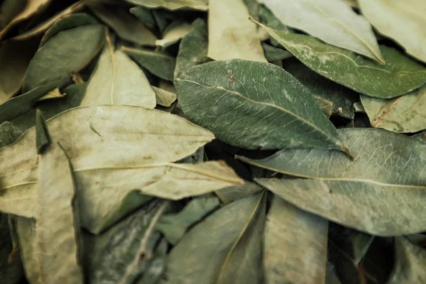 sorting dried coca leafs in a small woven basket, Santa Cruz de la Sierra, Bolivia