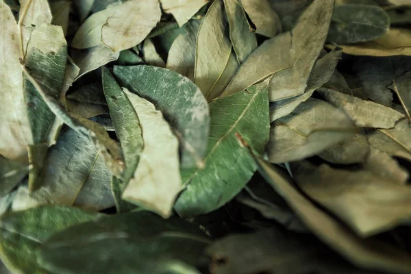 sorting dried coca leafs in a small woven basket, Santa Cruz de la Sierra, Bolivia