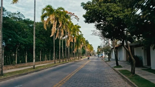 Santa Cruz, Bolivia - 5 Eylül 2018: geç öğleden sonra kentin uzun palmiye ağaçları sonraki tu ile yolun binmek