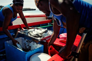 Vila yapmak Maio, Maio Adası, Cape Verde - Jan 5 2016: yerel balıkçı süre piyasada kadından ileri balıklarını kontrol etmek oluyor onun catch boşaltma