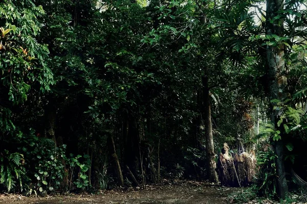 Olal Pulau Ambrym Vanuatu Jul 2016 Penari Dan Kepala Desa — Stok Foto