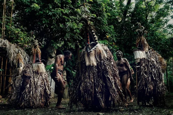 Olal, Ambrym Island / Vanuatu Cumhuriyeti - 10 Temmuz 2016: rom dansçılar ve köy lideri yağmur ormanı kenarında büyülü bir dans performans