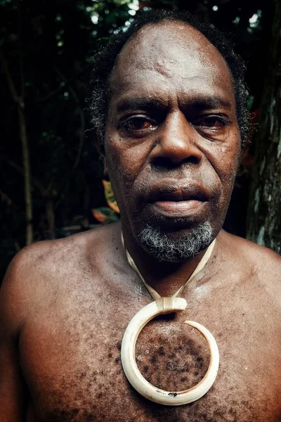Olal, Ambrym Island / Vanuatu Cumhuriyeti - 10 Temmuz 2016: köy lideri büyük domuz tusk takı ve koyu kırmızı göz