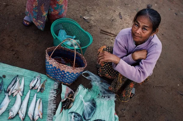 Pakse Laos Jul 2011 Anciana Local Vendiendo Pescado Anguilas Mercado — Foto de Stock