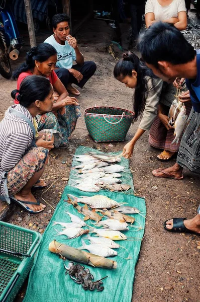 Pakse Laos Jul 2011 Local Young Woman Selling Fish Frogs — Stock Photo, Image
