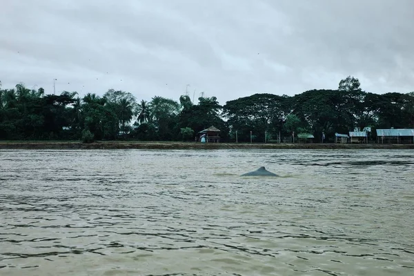 Pakse Laos Temmuz 2011 Laos Kamboçya Arasında Mekong Nehri Üzerinde — Stok fotoğraf