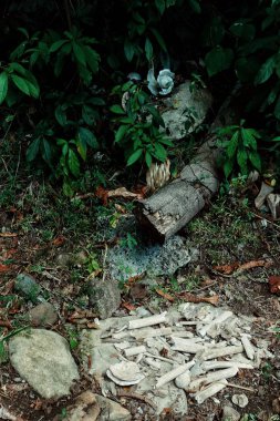 Walarano Köyü, Malekula Island / Vanuatu Cumhuriyeti - 9 Temmuz 2016: insan kalıntıları kemikler ve geleneksel yamyam sitenin yanındaki yere fırın kafatasına