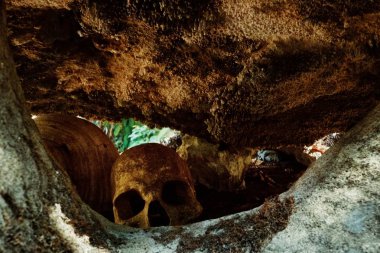 Walarano Köyü, Malekula Island / Vanuatu Cumhuriyeti - 9 Temmuz 2016: insan kalıntıları kemikler ve geleneksel yamyam sitenin yanındaki yere fırın kafatasına