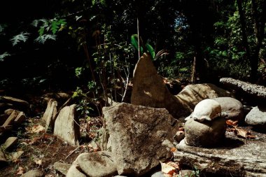 Walarano Köyü, Malekula Island / Vanuatu Cumhuriyeti - 9 Temmuz 2016: insan kalıntıları kemikler ve kürek geleneksel yamyam sitesinde yanında bir yere fırın
