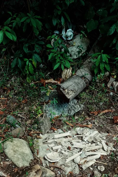 Walarano village, Malekula Island / Vanuatu - 9 JUL 2016 : human remains bones and skull at a traditional cannibal site next to a ground oven